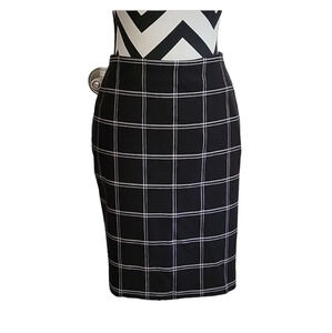 Ann Taylor Skirt